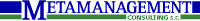 METAMANAGEMENT Consulting